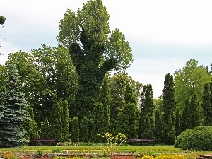 botanical, Garden, trees, Pozna?, viewes