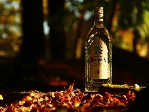 Bottle, Krupnik, vodka, Leaf, Poland