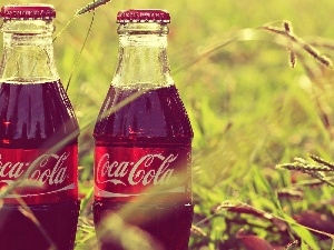 Bottles, Coca Coli, Two