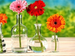 bottles, gerberas