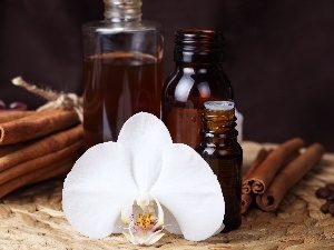 Bottles, vanilla, White, orchid