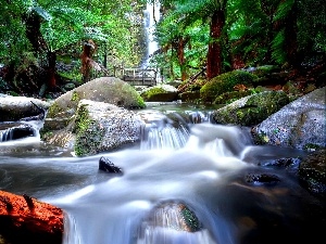 waterfall, boulders, jungle