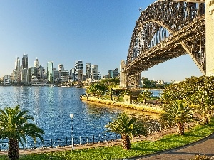 boulevard, Way, Sydney, bridge, Australia
