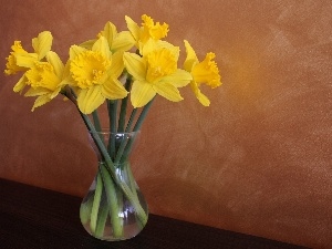 bouquet, Daffodils
