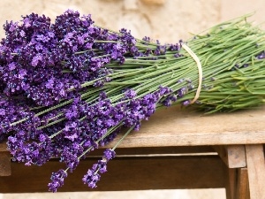 bouquet, lavender