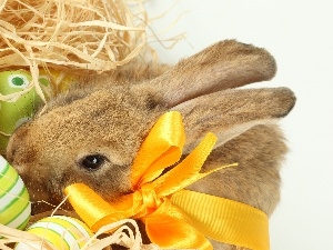 Bunny, bow, eggs