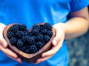 blackberries, bowl, Women