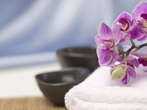 Bowls, Towel, orchids, White