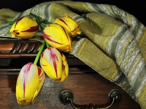 box, overlay, color, Tulips