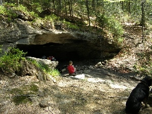 boy, cave, Stones, trees, doggy, viewes