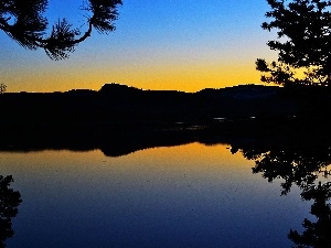 Loon, branch pics, Great Sunsets, lake, California, Mountains