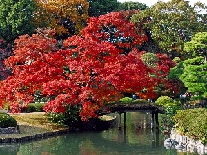 viewes, bridge, brook, Japan, trees, Tokyo, Park