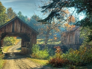 bridges, water, forest, autumn, Windmill