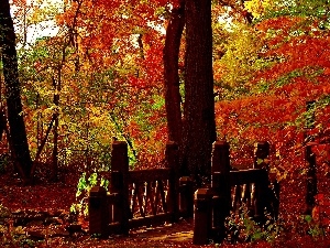 bridges, viewes, Park, autumn, trees