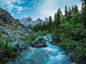 brook, viewes, rocks, trees