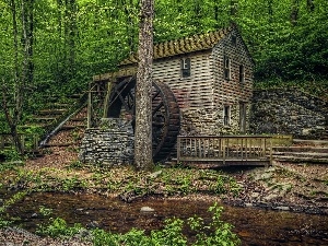 Windmill, brook, forest