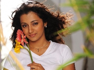brunette, Flowers, Trisha Krishnan