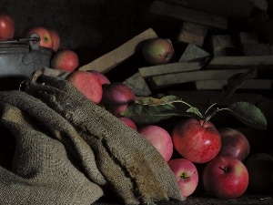 bag, bucket, apples