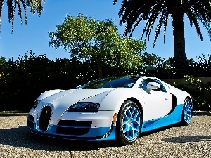 Palms, Bugatti Veyron