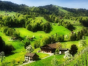 buildings, medows, Mountains, woods