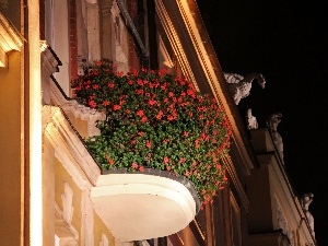 Pozna?, buildings, Night, flowered, old town, Balcony