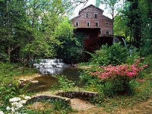 viewes, Bush, brook, Old car, trees, Windmill, cascade