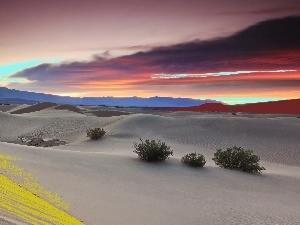 Bush, sun, Desert, clouds