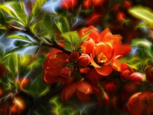 Bush, Flowers, quince, Fractalius, Red