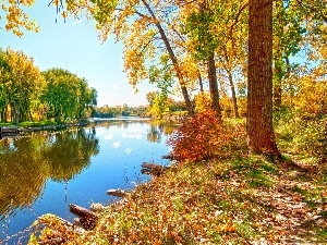 reflection, Bush, River, trees, Leaf, viewes, willow