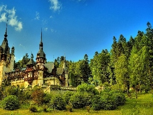 viewes, Bush, green ones, Castle, trees, blue, Sky