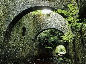 tunnel, Bush, brook