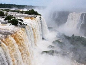 Bush, waterfall