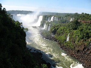 Bushes, forest, River, rocks, waterfalls