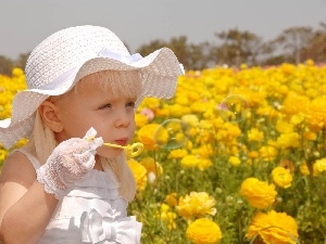 buttercup, Flowers, Ranunkulus, girl, asiatic, Hat