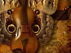 butterfly, violin