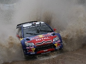 Citroen C4 WRC