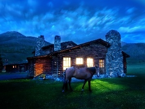 Cabin, Night, Horse, Montana, house