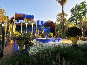 Africa, Cactus, Garden, villa, Maroko, fountain