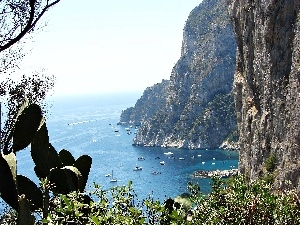 Cactus, sea, Island, Capri