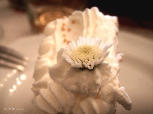 Cake, cream, Margaretka, whipped