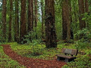 Bench, California, Park