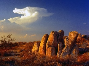 Mojave, California, Desert