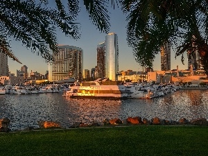 Yachts, California, port, San Diego, Palms, USA