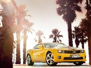 Chevrolet Camaro, Yellow