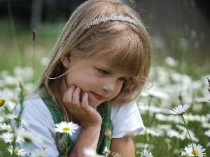 camomiles, Meadow, small, grass, girl