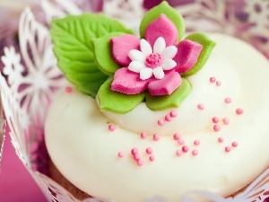 Flower, Candies, cake