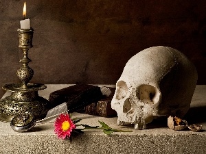 Gerbera, candle, skull
