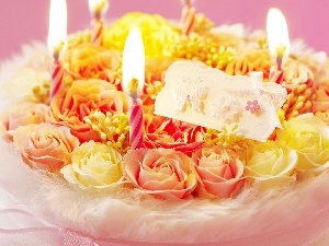 roses, candles, Cake