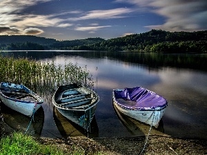 Cane, boats, lake, The Hills