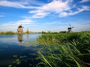 water, cane, Windmills